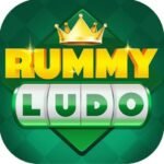 Rummy Ludo game app
